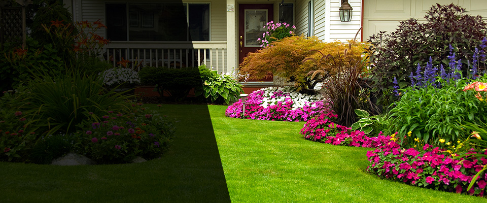 Pacolet Landscapers