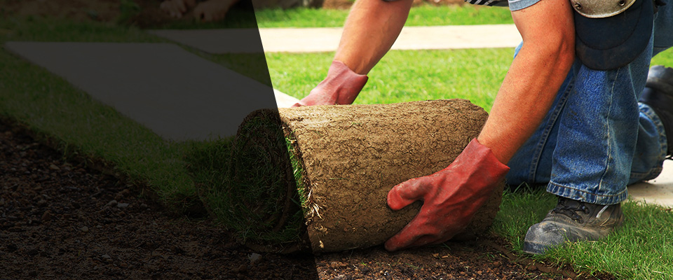 Pacolet Landscapers